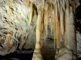 Jenolan Caves, NSW