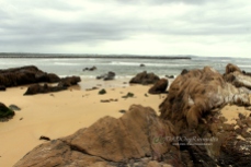 Moruya Shelly Beach, South Coast, NSW